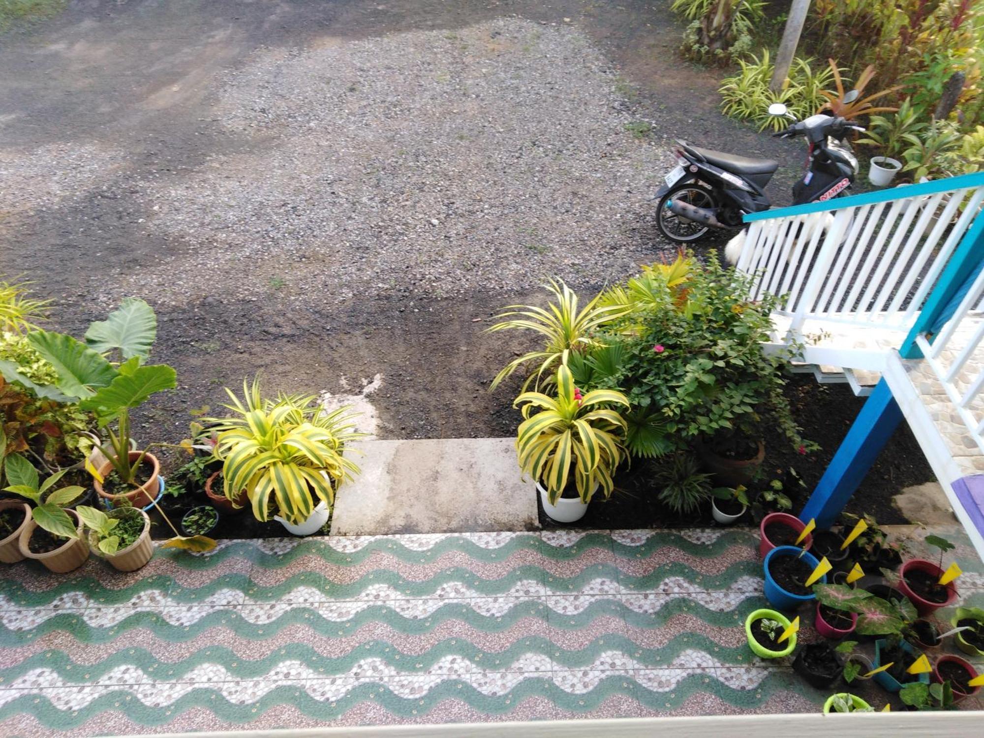 Krasom Homestay Phang Nga Room photo